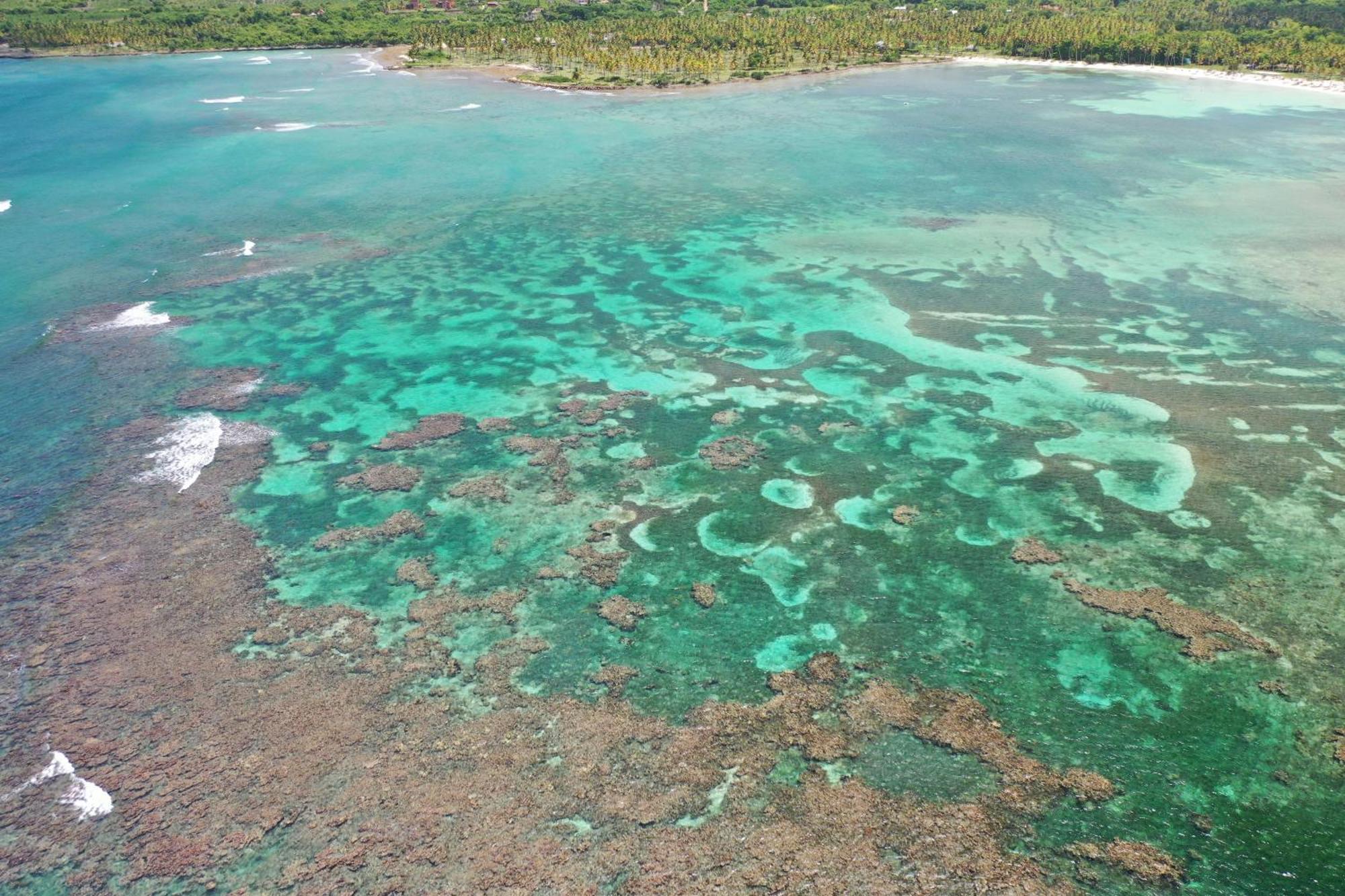 Hotel Todoblanco, Las Galeras, Samana Dış mekan fotoğraf